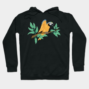 Parrot on a Branch Hoodie